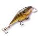 Rapala Shad-rap Shallow