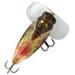 Crawler insecte Cicada Popper 55F de RIVER2SEA